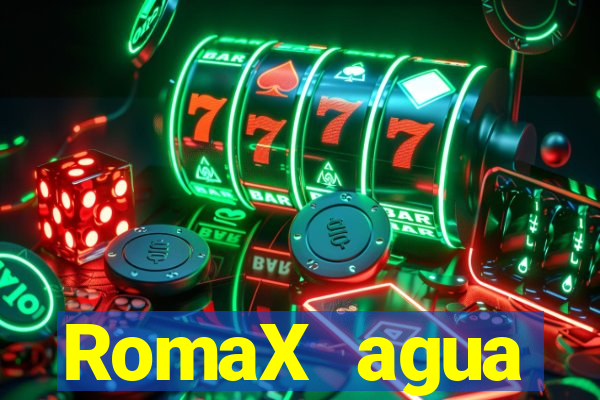 RomaX agua sanitaria fispq agua sanitaria romax